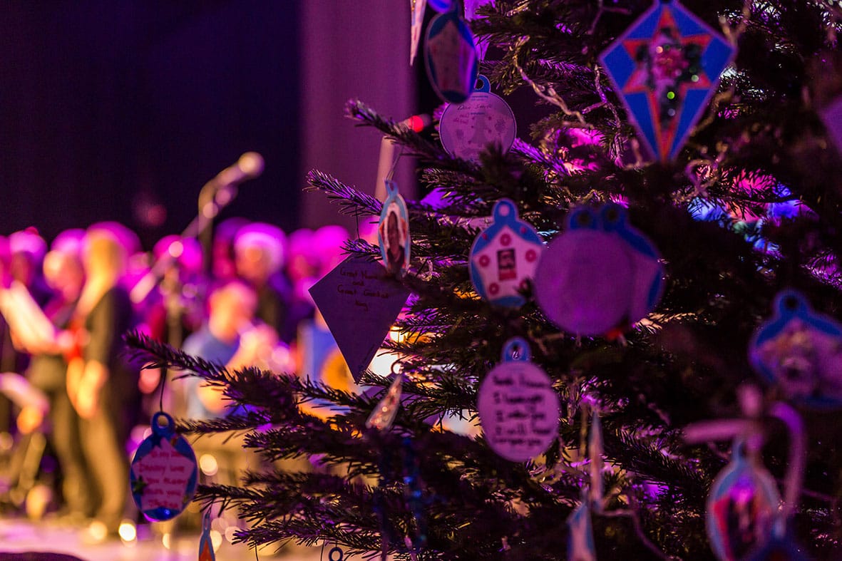 Willen Hospice Lights of Love