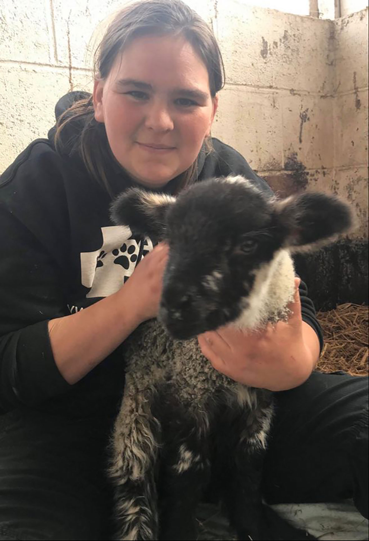 Angel the lamb at Animals in Need