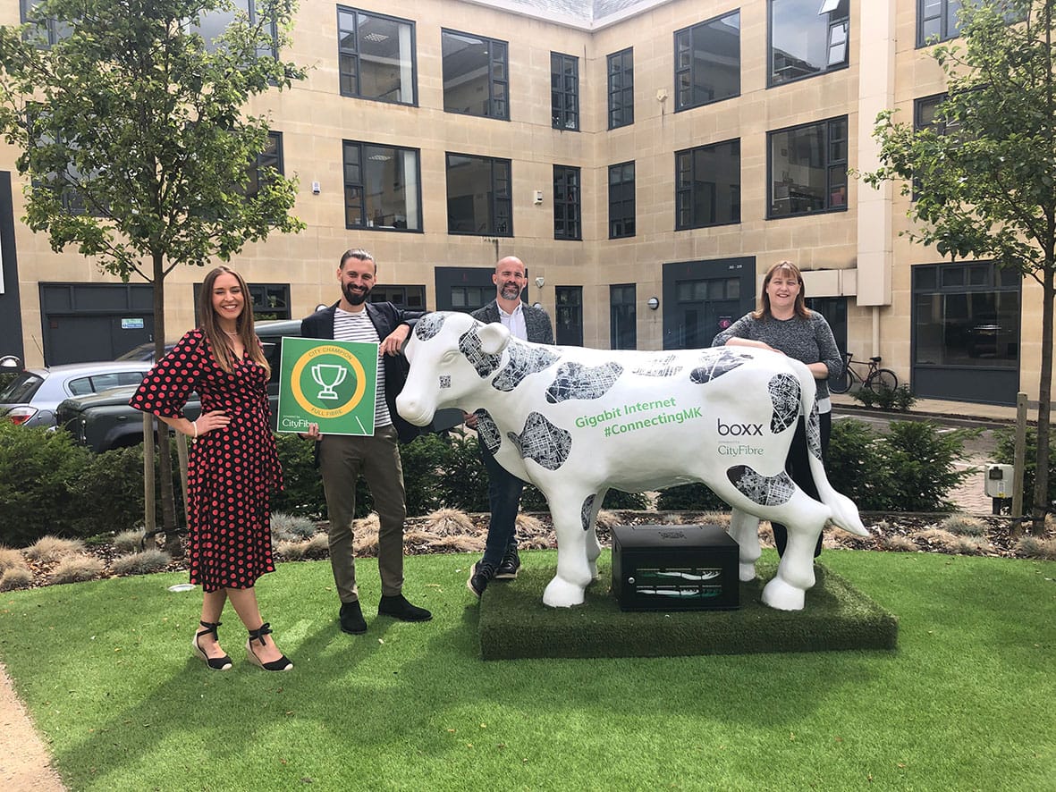 Boxx Communications Cow