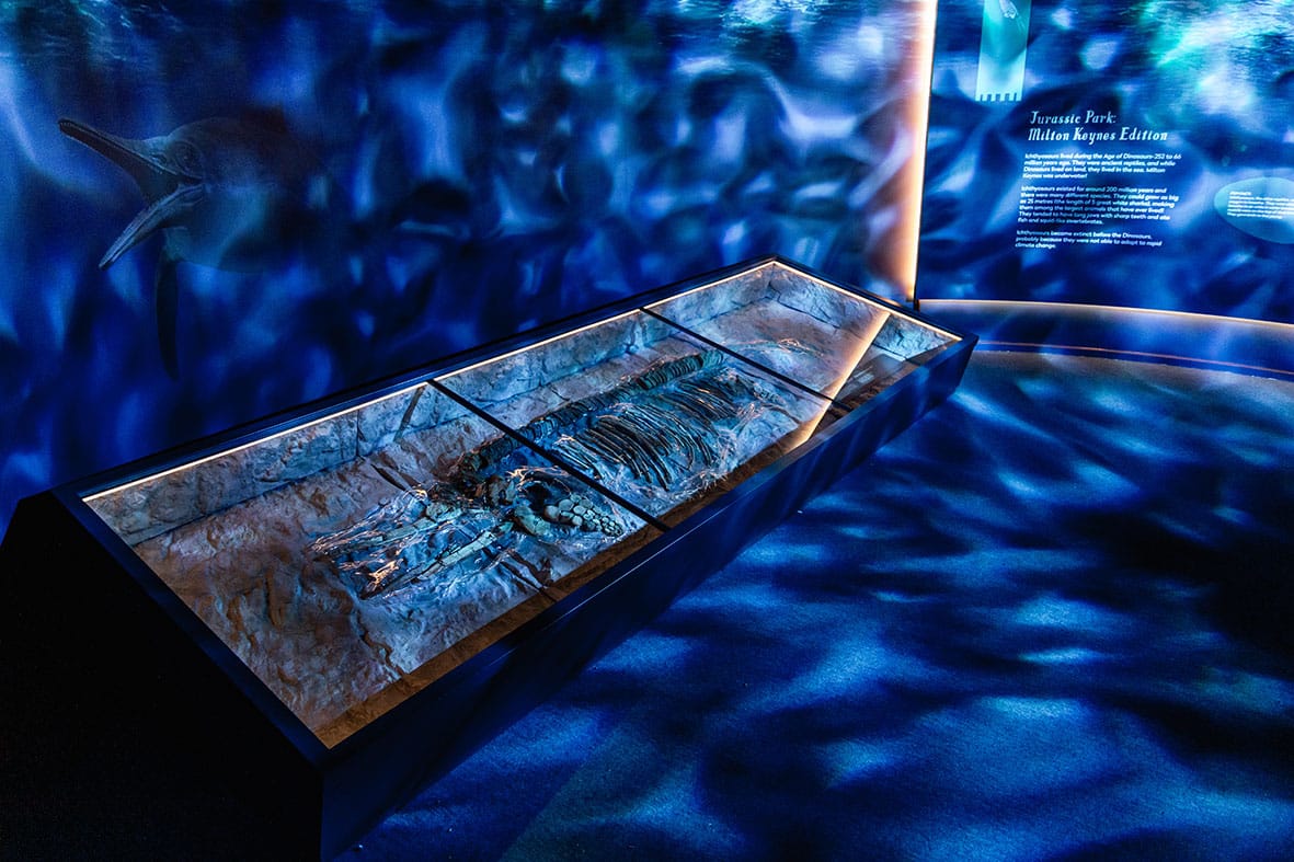 Ichthyosaur at Milton Keynes Museum