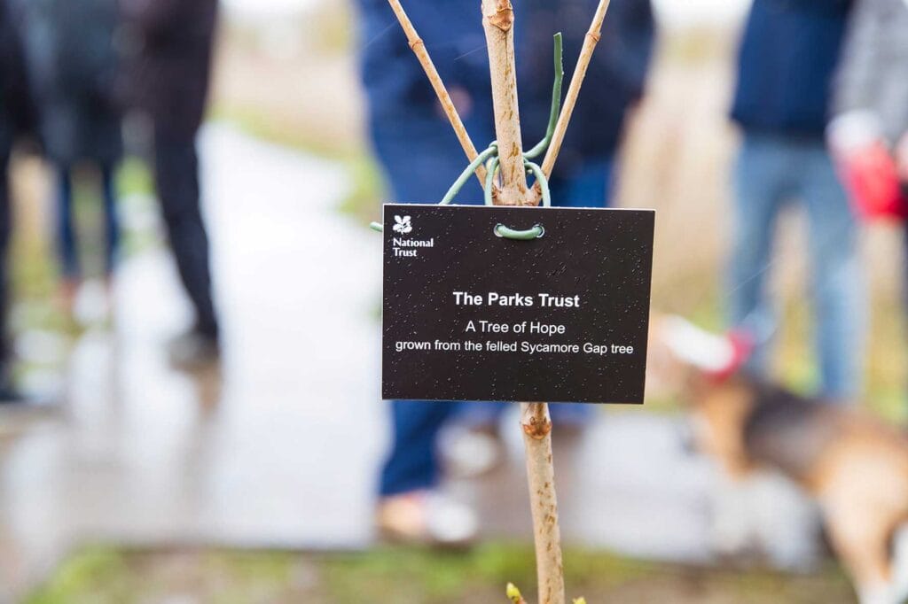 Tree-of-Hope-badge | MK Pulse Tree of Hope Badge