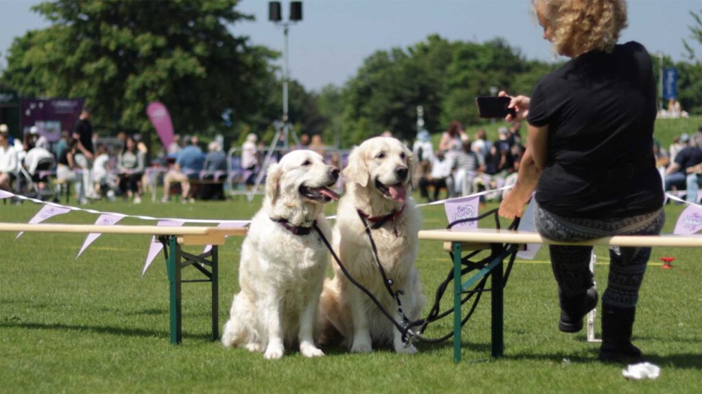 Big Doggie Do returns to Willen Lake
